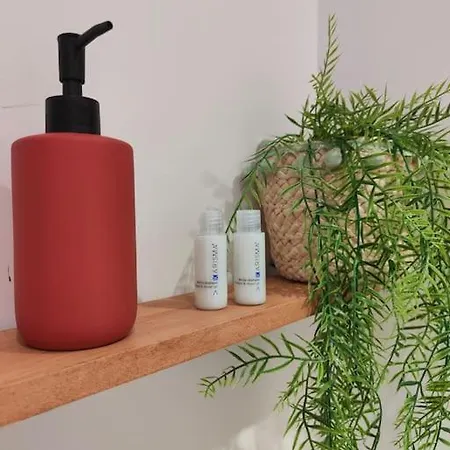 Apartment Le San Martin *