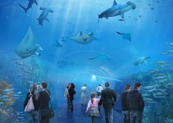 Le San Martin * Boulogne-sur-Mer